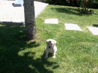 /album/fotos-recentes-/fotos-080-jpg/